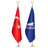 Office Flag Set Gold Pole | Logo & Turkish Flag