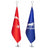 Office Flag Set Chrome Pole | Logo & Turkish Flag