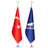 Office Flag Set | Logo & Turkish Flag Chrome Pole